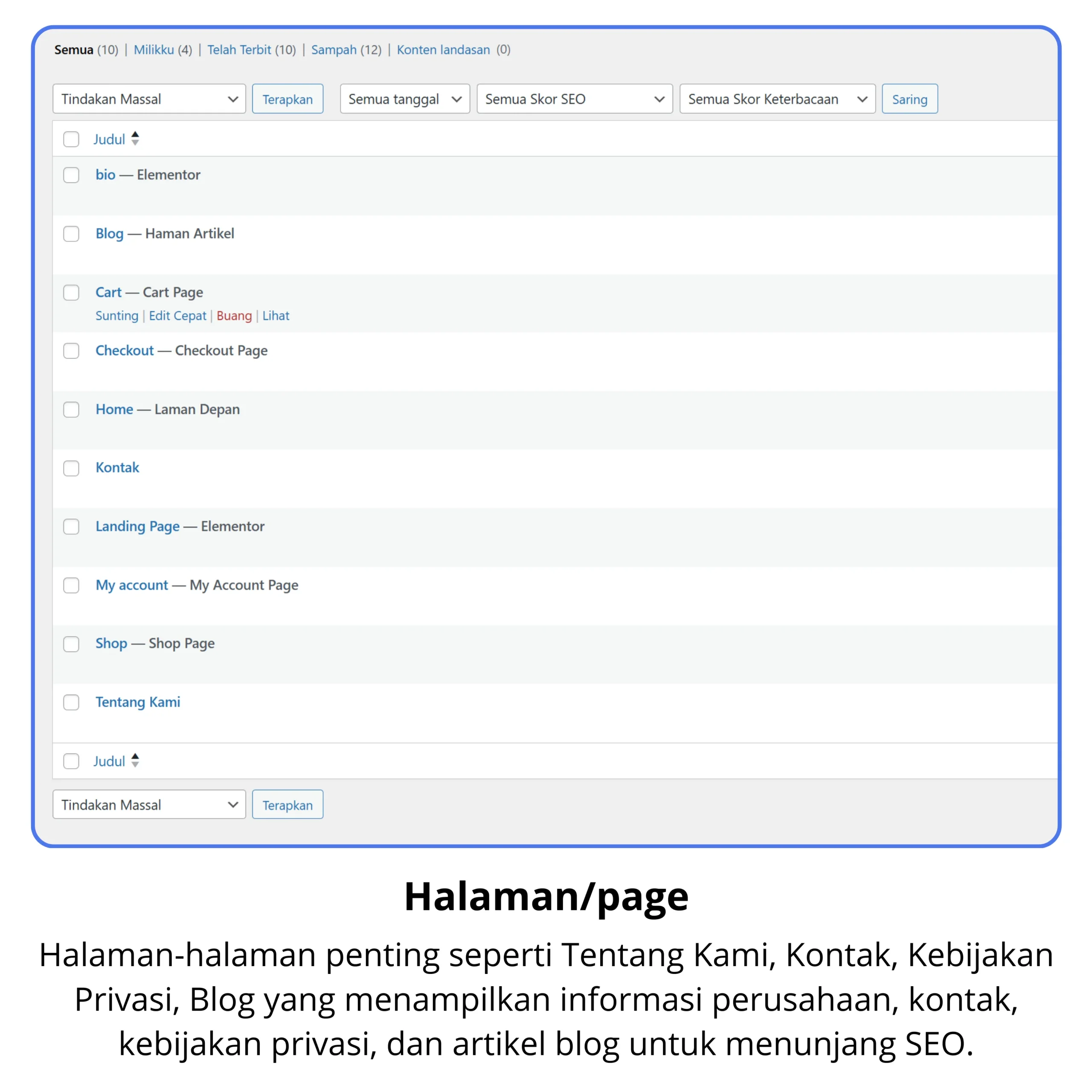 11-scaled.webp